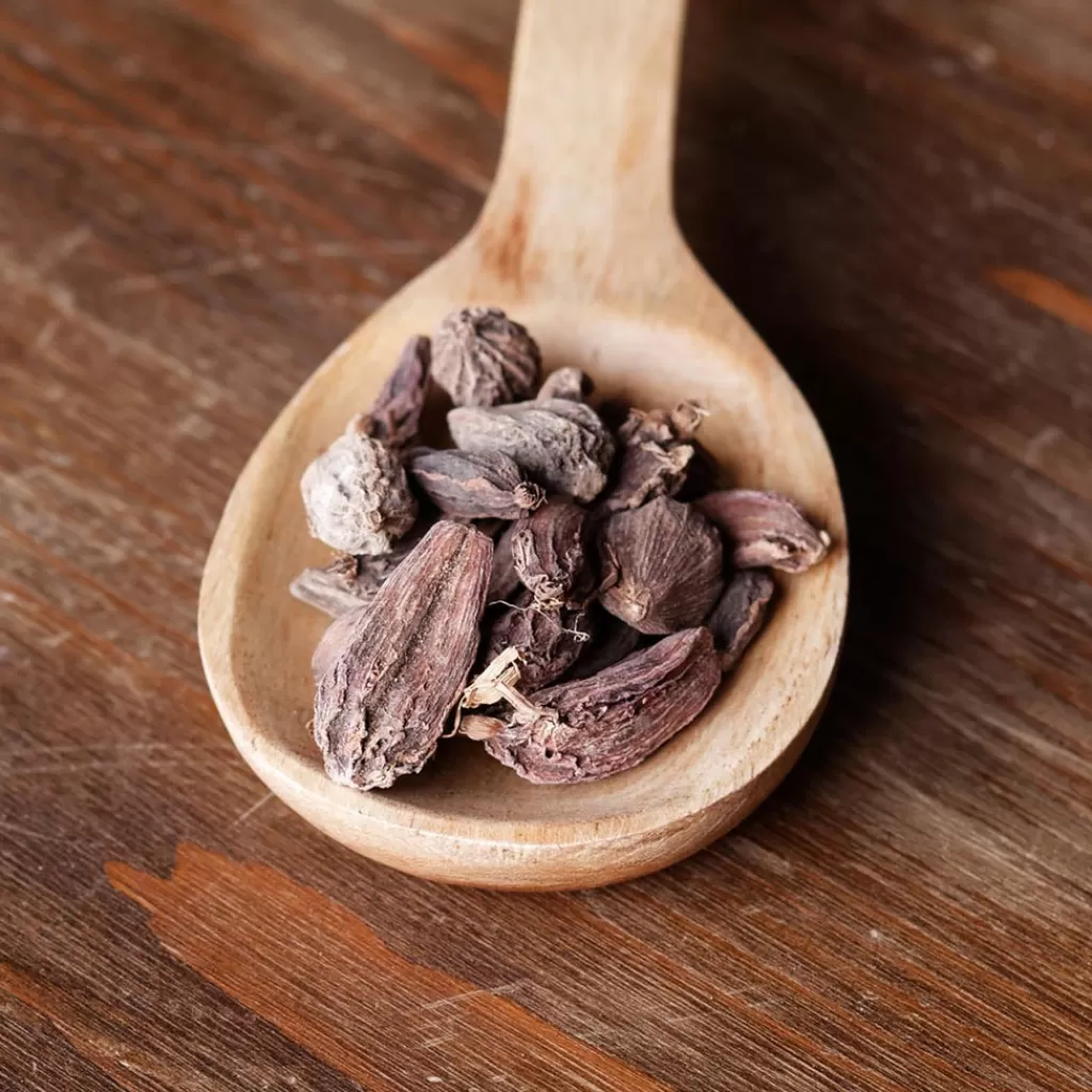 Terza Luna Semi | Spezie Asiatiche^Black cardamom