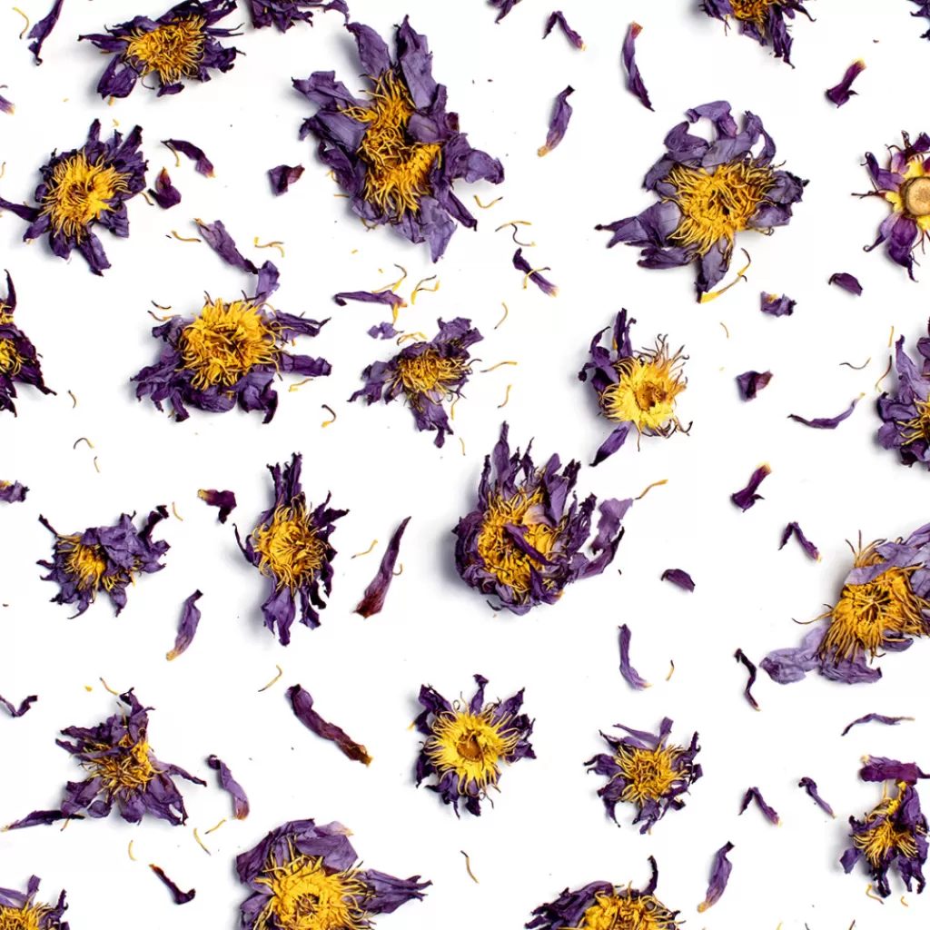 Terza Luna Fiori Eduli E Garnish^Blue Lotus, whole flowers