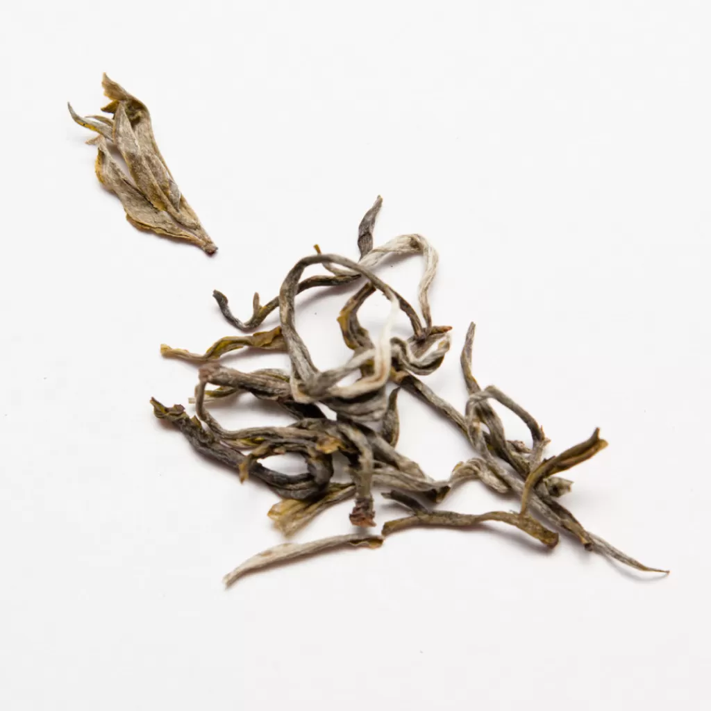 Terza Luna Tè Puri Raccolto 2024 | Tè Nero^Darjeeling first flush Risheehat 2024 organic
