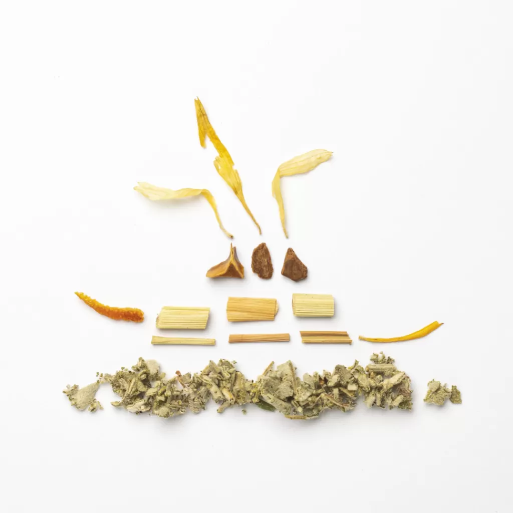 Terza Luna Tisane Alla Frutta^Enchanted Forest - sage and tonka bean herbal tea -