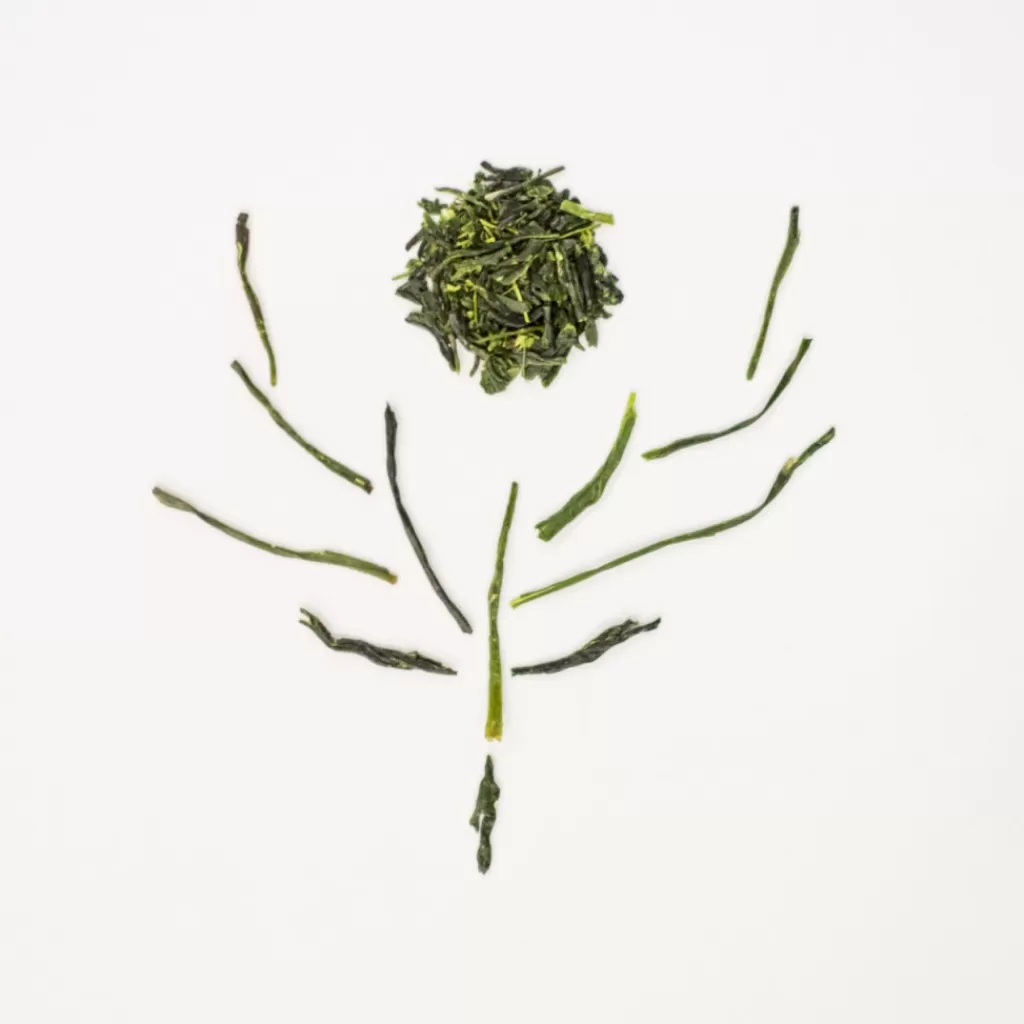 Terza Luna Tè Verde | Tè Giapponese^Fukamushi bio