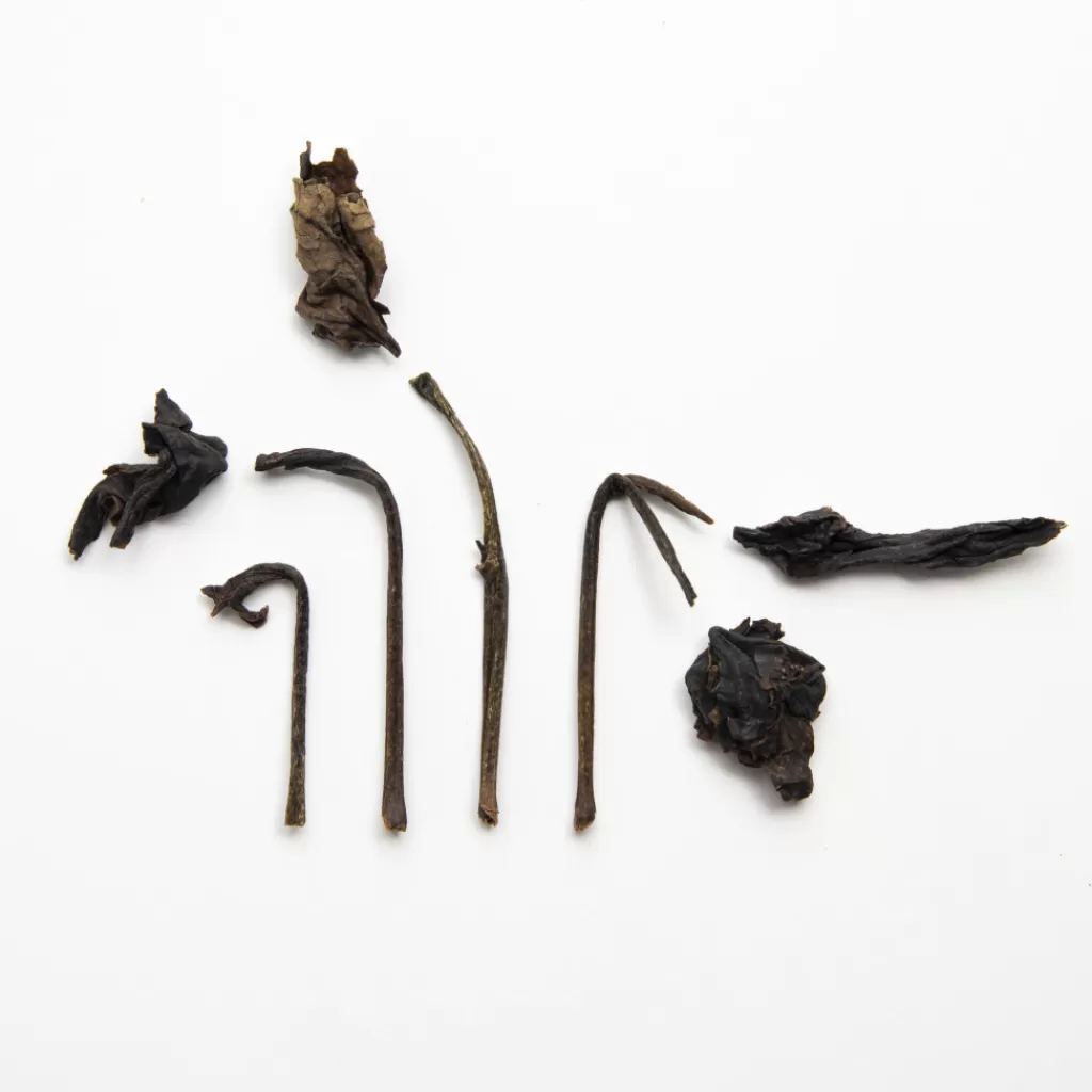 Terza Luna Tè Pu-erh | Tè Rari Premium^Gaba Pu erh sheng