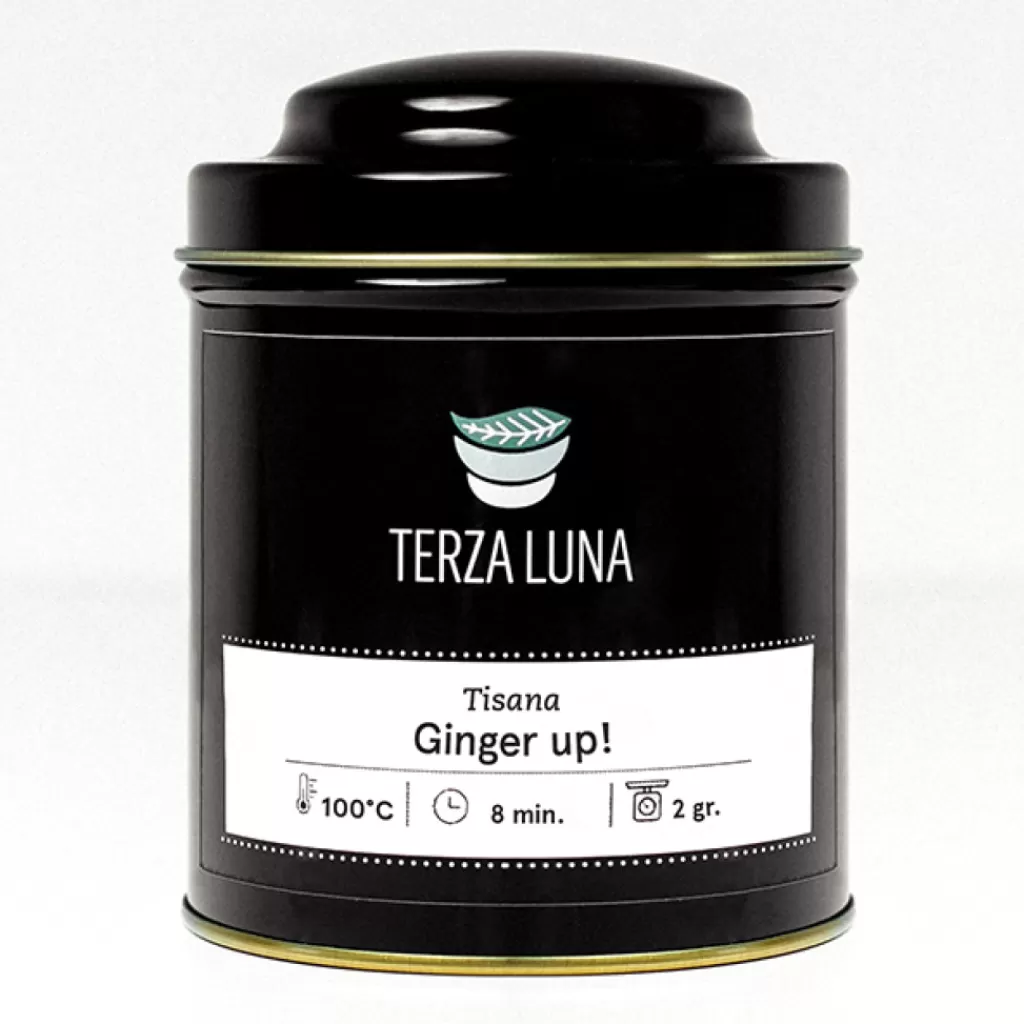Terza Luna Tisane Alla Frutta Gusto Speziato^Ginger Up