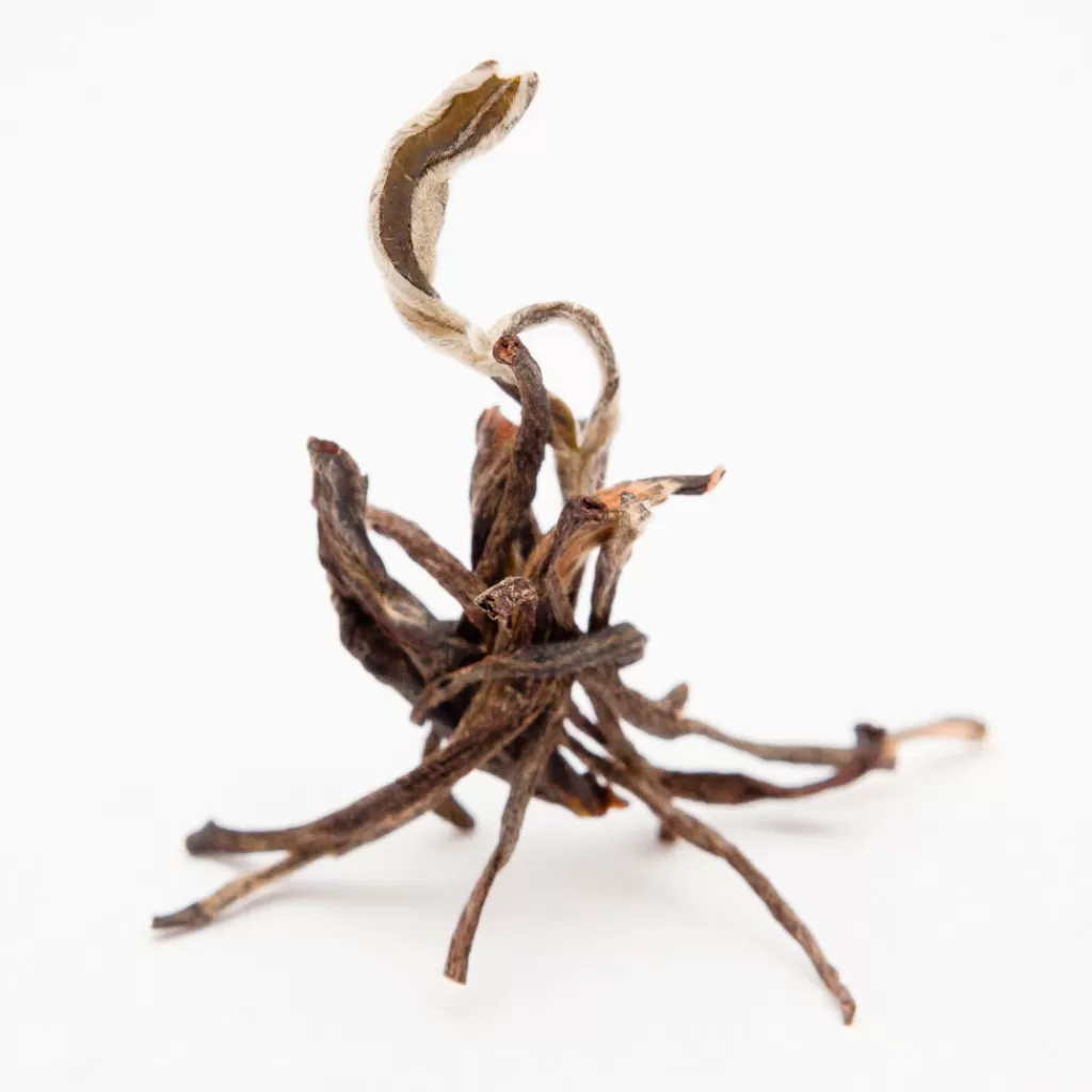 Terza Luna Tè Nero^Golden Monkey black tea
