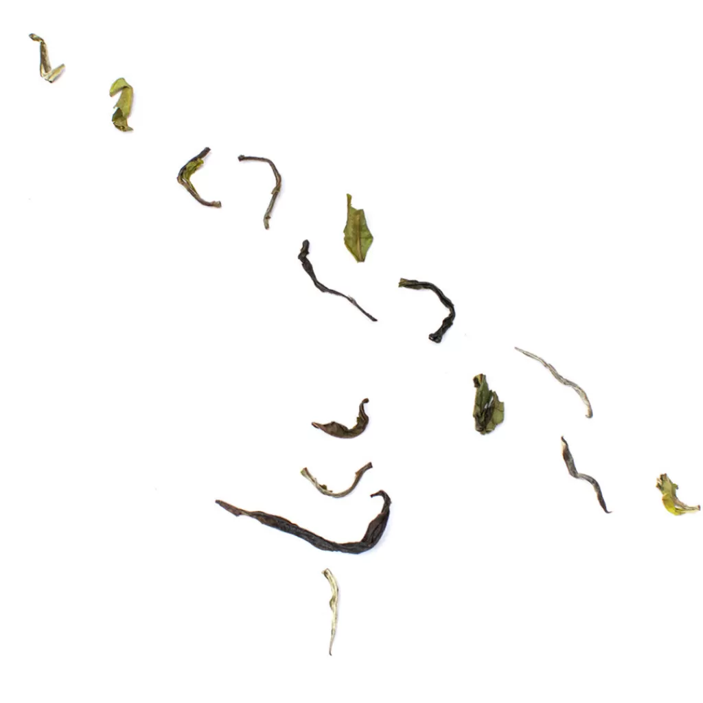 Terza Luna Tè Verde | Tè Darjeeling^Himalayan Beauty first flush bio 2023