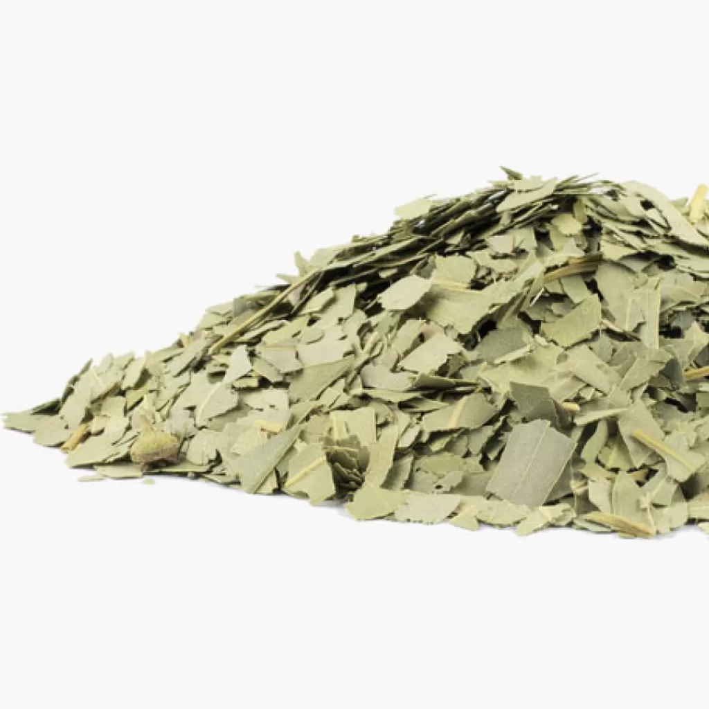 Terza Luna Erbe Officinali^Organic Eucalyptus Leaves