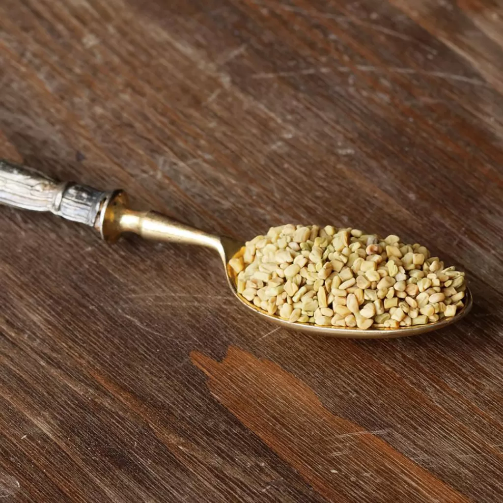 Terza Luna Spezie | Semi^Organic Fenugreek