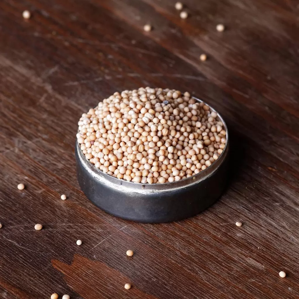Terza Luna Semi | Spezie Europee^Organic yellow mustard seeds