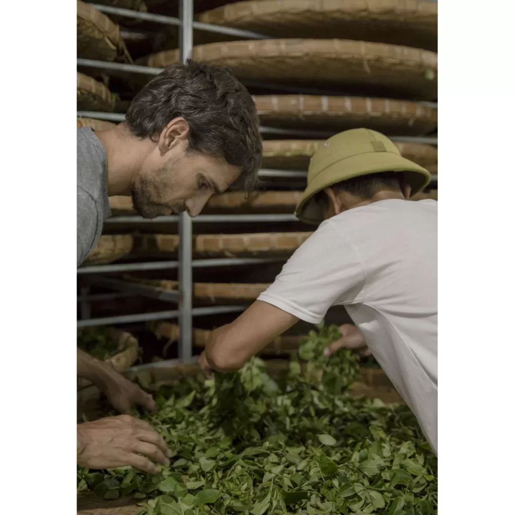 Terza Luna Tè Rari Premium^Oriental Beauty oolong Mr Hao