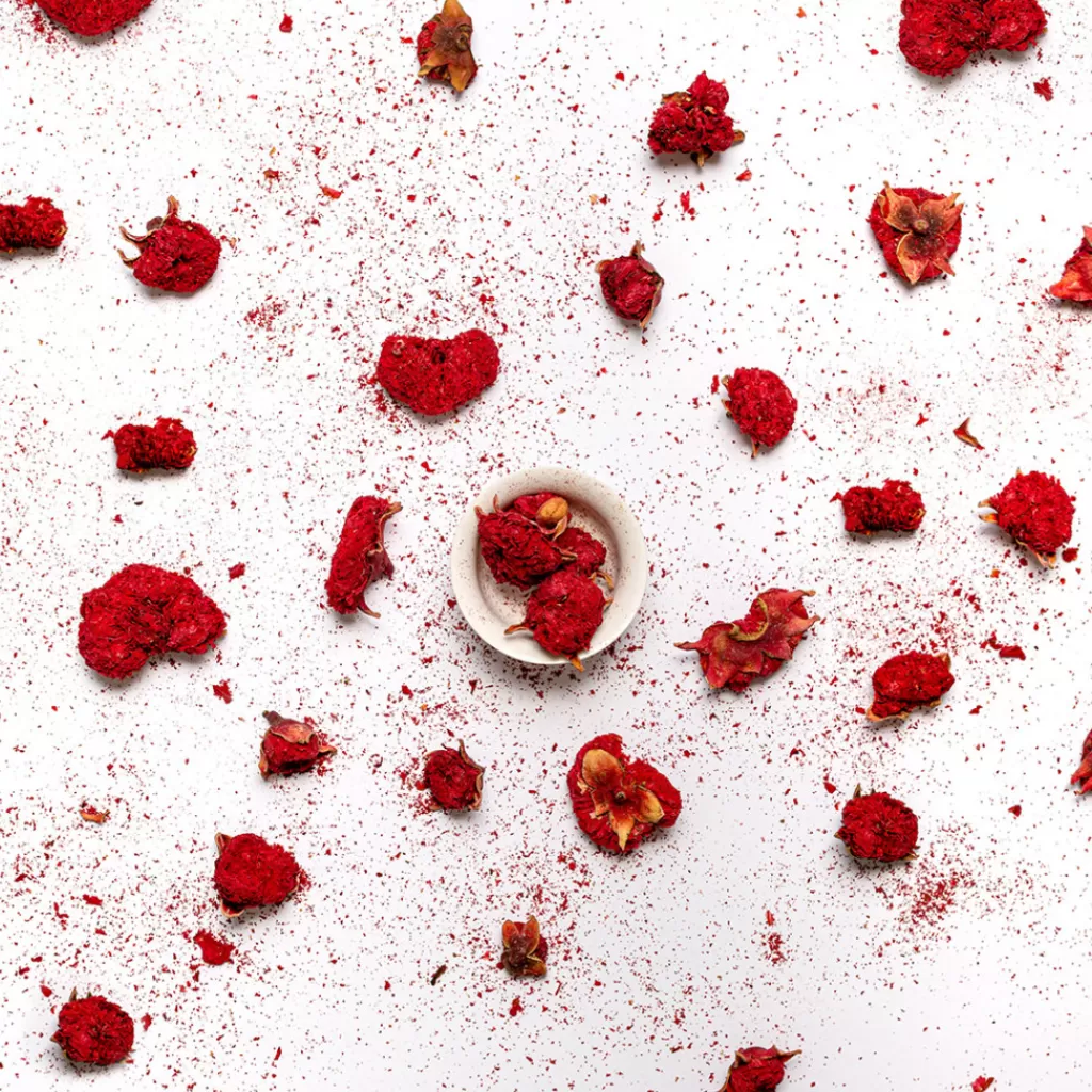 Terza Luna Erbe Officinali | Fiori Eduli E Garnish^Pomegranate Flowers