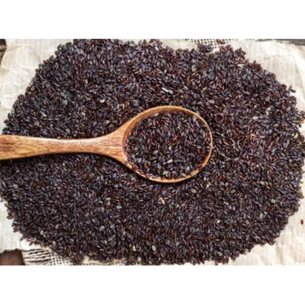 Terza Luna Semi | Erbe Officinali^Psyllium seeds