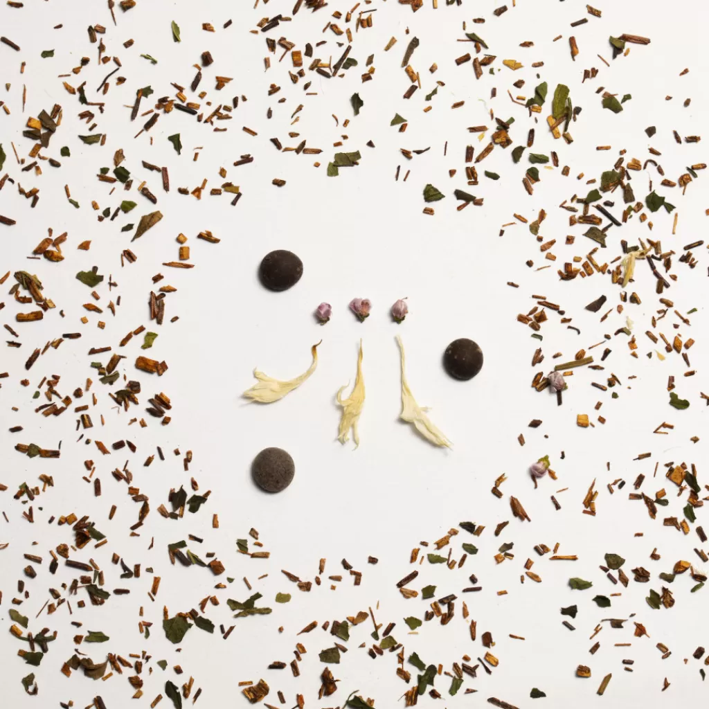 Terza Luna Rooibos | Box Degustazione Rooibos^Rooibos Mint & Chocolate