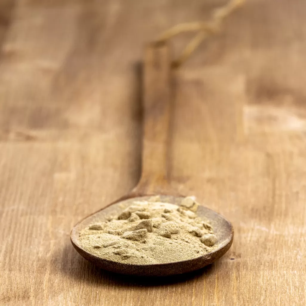 Terza Luna Spezie Ayurvediche^Wild Indian Asparagus